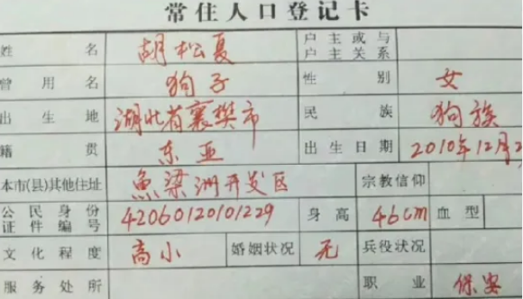 把狗当家人，也不必写户口本上