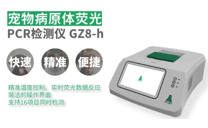 刚竹医疗宠物PCR仪怎么样 刚竹医疗宠物PCR仪怎么样