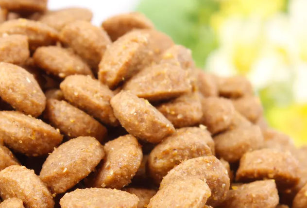 盛来知狗粮：正确喂食方法，让宠物健康又快乐