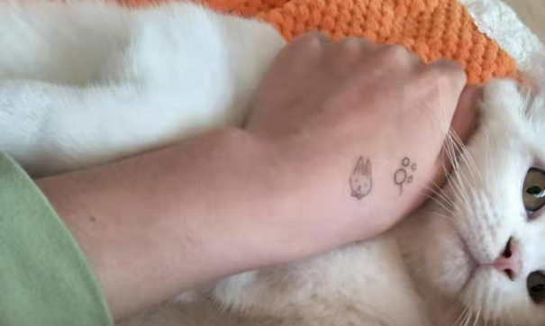 白猫心已累，再活泼的猫咪，遇到这样的主人也会力不从心吧