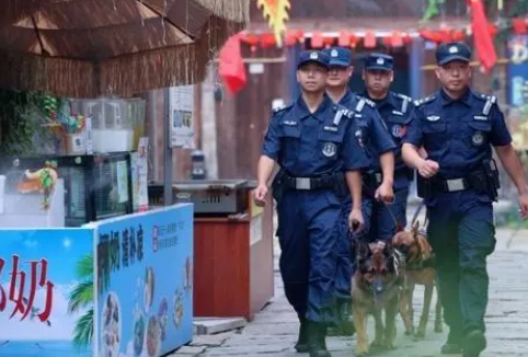 节日我在岗！功勋犬“疾风”的最后一班岗