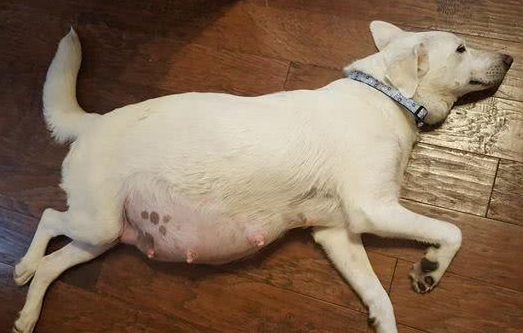 怀孕多久出生
