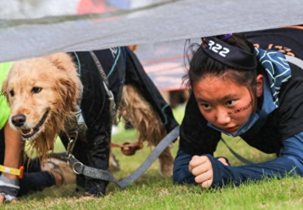 与爱犬默契值即刻拉满,狗巴迪勇士赛上海站开启 与爱犬默契值即刻拉满,狗巴迪勇士赛上海站开启