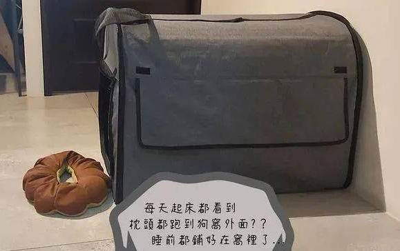 枕头总是被狗子踢到窝外，铲屎官疑惑了8年才知道原因...