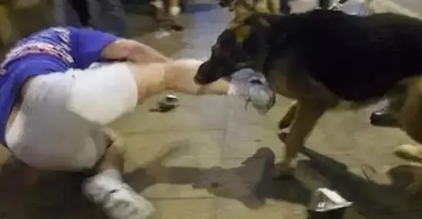 柳州一村民好心“收留”流浪狗,却因狗咬人致狂犬病身亡被索赔32万 柳州一村民好心“收留”流浪狗,却因狗咬人致狂犬病身亡被索赔32万