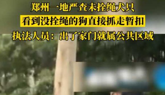 一地出手!看到未拴绳狗狗直接抓走暂扣 一地出手!看到未拴绳狗狗直接抓走暂扣