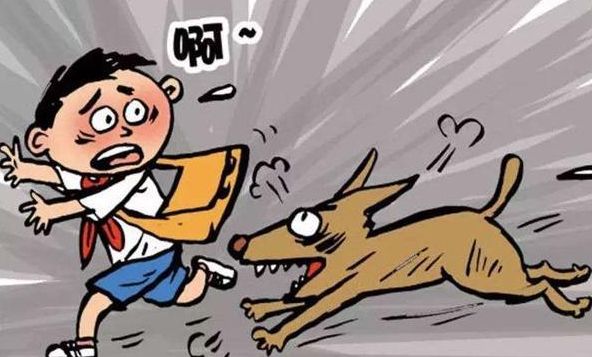 宠物伤人,主人应如何承担责任? 宠物伤人,主人应如何承担责任?
