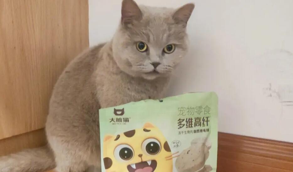 大脸猫产地在哪 大脸猫产地在哪