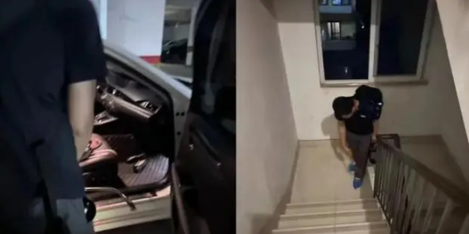 重庆一小区流浪猫死亡致跳蚤成灾，消杀无果，有孩子被咬满腿疙瘩！