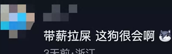 警犬执勤时憋不住拉粑粑,满脸羞愧,网友:带薪拉屎! 警犬执勤时憋不住拉粑粑,满脸羞愧,网友:带薪拉屎!