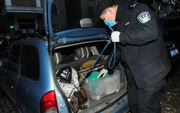 警犬冷知识：缉毒犬养成手册