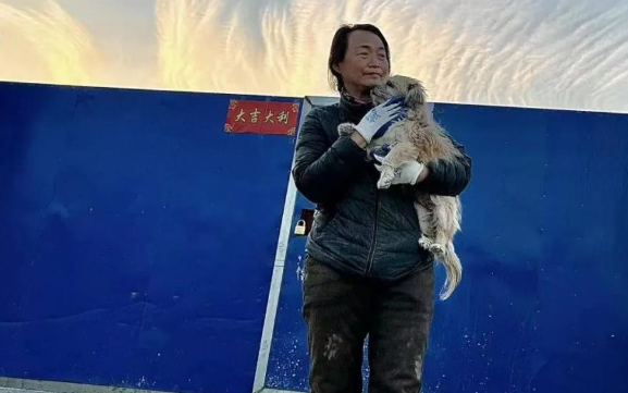 山西临汾:退休女警官李晋玲和她的流浪狗基地 山西临汾:退休女警官李晋玲和她的流浪狗基地