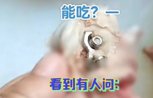 有人买狗腿却吃出螺丝和铁块…因为它做过几万的髌骨手术