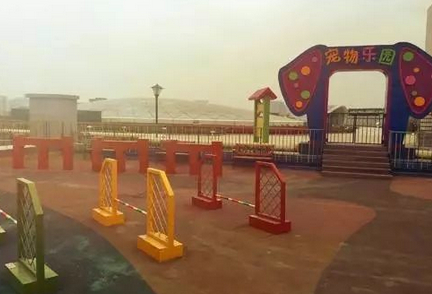 宠物经济势头正足，有望成为下一个消费浪潮
