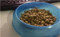 景晖宠物食品是大牌子吗