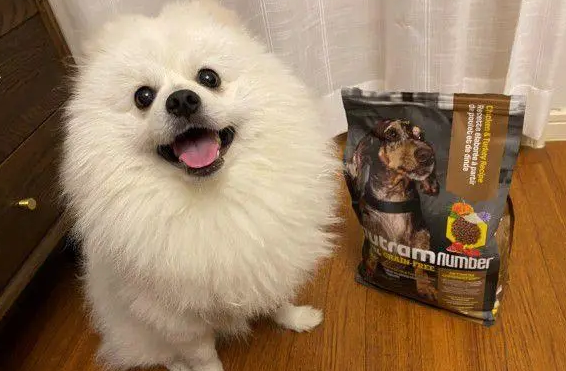 八斤博美犬一天吃多少克狗粮 八斤博美犬一天吃多少克狗粮