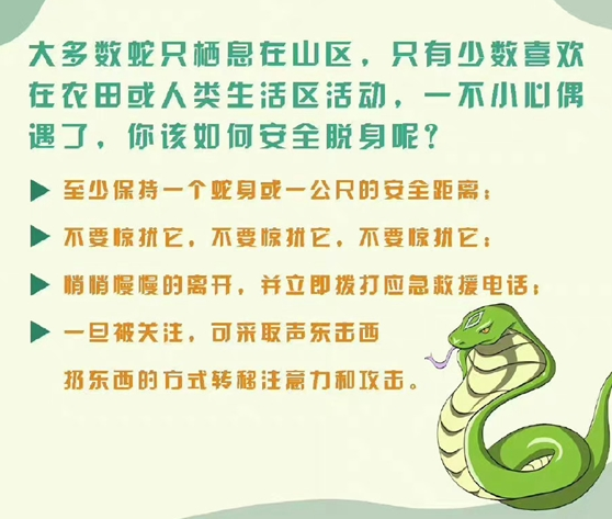 南京人行道上惊现2米长大蛇：正在人行道上爬行