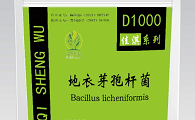 地衣芽孢杆菌对便秘有效果吗