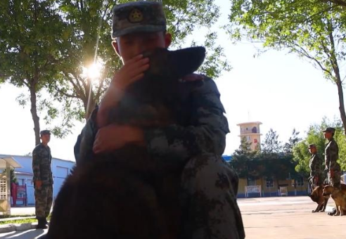 服役8年的军犬退役了!看到泪目…… 服役8年的军犬退役了!看到泪目……