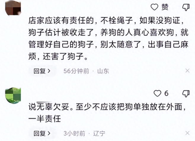 宠物狗,摸一下变撕咬,这是谁的锅? 宠物狗,摸一下变撕咬,这是谁的锅?