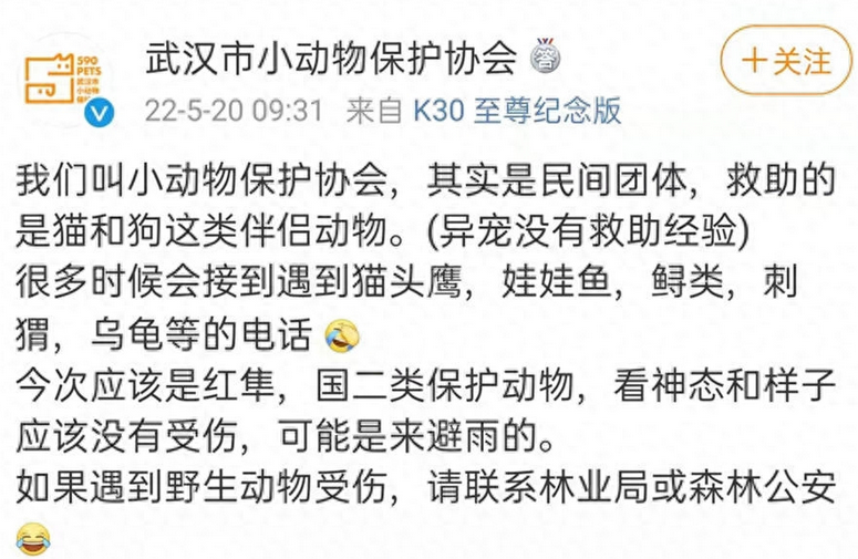 热门宠物弃养背后,消费者冲动性购买,专家:随意丢弃可能涉嫌犯罪 热门宠物弃养背后,消费者冲动性购买,专家:随意丢弃可能涉嫌犯罪