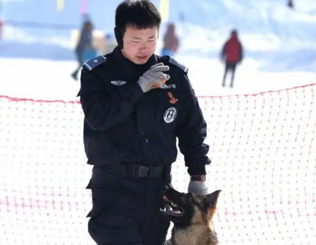 缉毒犬是怎样成功“考编”的?过程太励志! 缉毒犬是怎样成功“考编”的?过程太励志!