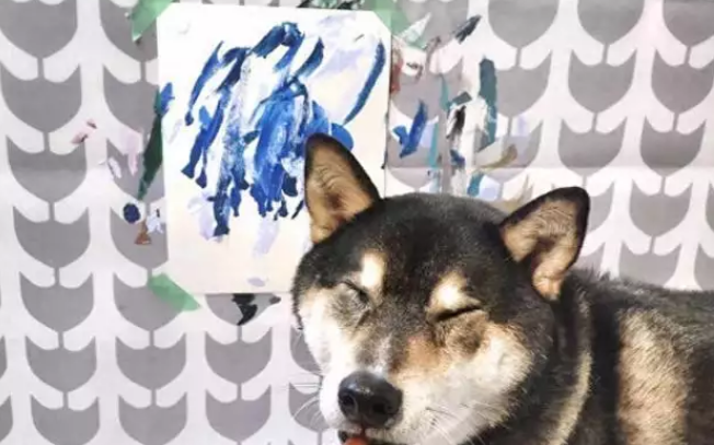 柴犬靠“卖画”为生，为主人赚了3万多，连狗都比我有才华