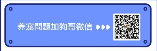 猫狗粮批批测,就是逗你玩 猫狗粮批批测,就是逗你玩