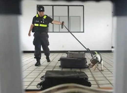 缉毒犬被警队开除，网友知道原因后笑喷了！