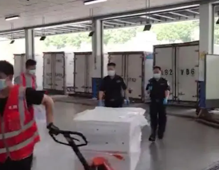 货车运5380只吸血鬼蟹入境被查，网友：彻查进口商
