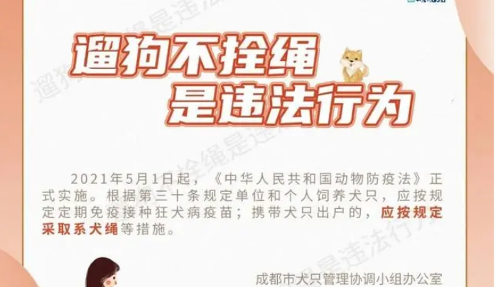 2岁多女童被黑狗咬伤受伤严重!注意,这些犬种禁养! 2岁多女童被黑狗咬伤受伤严重!注意,这些犬种禁养!