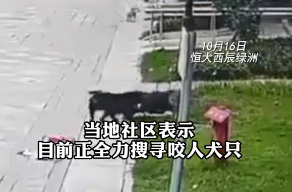 成都崇州猛犬撕咬2岁女孩：伤者肾裂伤，狗主人未现身