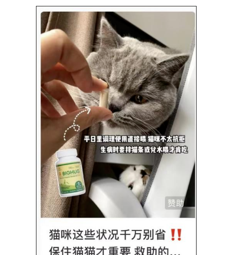 宠物品牌如何在小红书上进行营销，抓住「养宠人」的心？