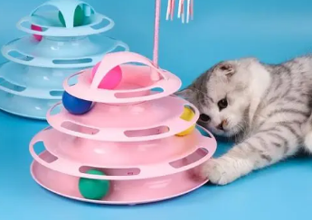 碧净猫咪用品:让猫咪生活更美好 碧净猫咪用品:让猫咪生活更美好