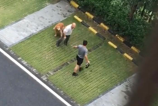 佛山男子打死金毛犬事件 金毛犬狗主:父母均住院 对方从未道歉 佛山男子打死金毛犬事件 金毛犬狗主:父母均住院 对方从未道歉