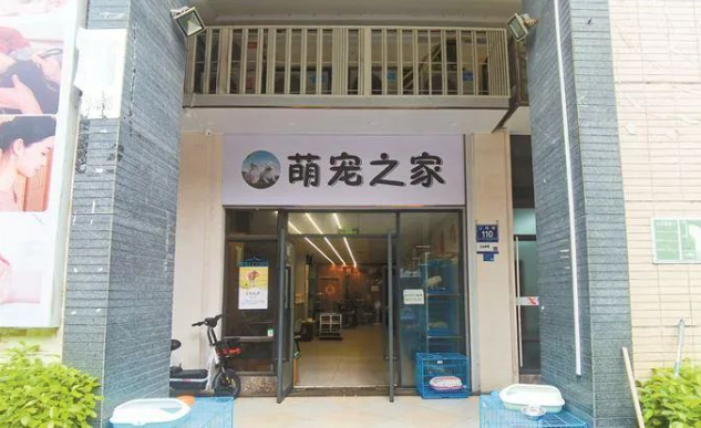 广州一宠物店“连环”售卖病宠，吸金套路层层递进