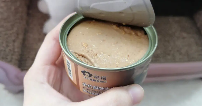 喵招猫罐头如何?一起来看看吧 喵招猫罐头如何?一起来看看吧