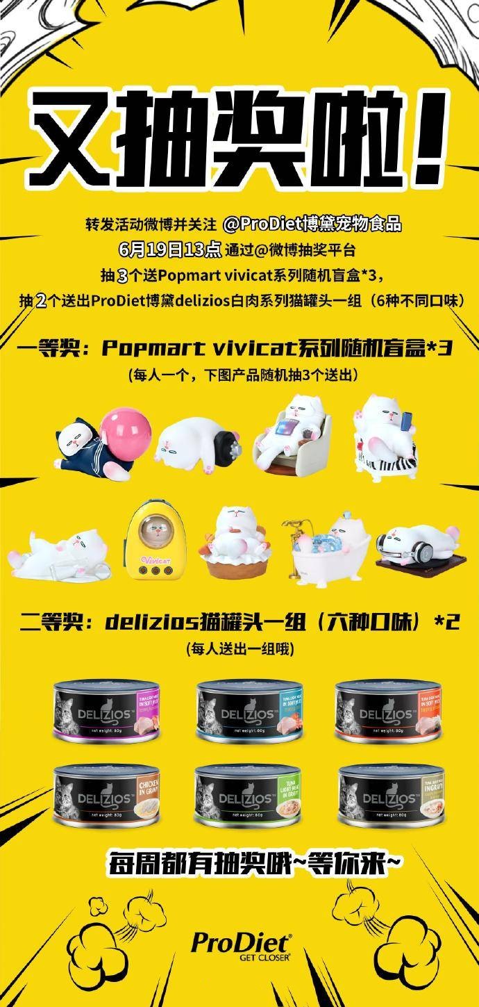 ProDiet博黛：教你如何拥有一只同款“喵室友”