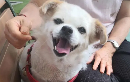 喉咙右侧有个鼓包是怎么回事