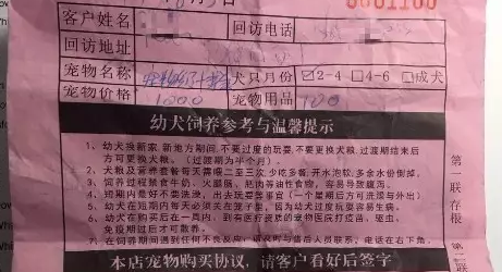 狗狗买回家非病即死，宠物店顶“星期狗”投诉开5年