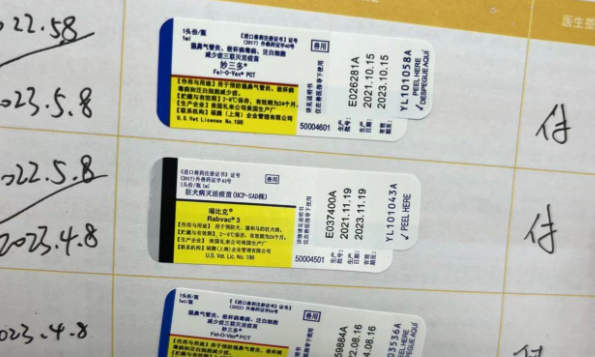 女子猫咖店“撸猫”被抓伤商家拒付诊疗费，商家：猫打过疫苗