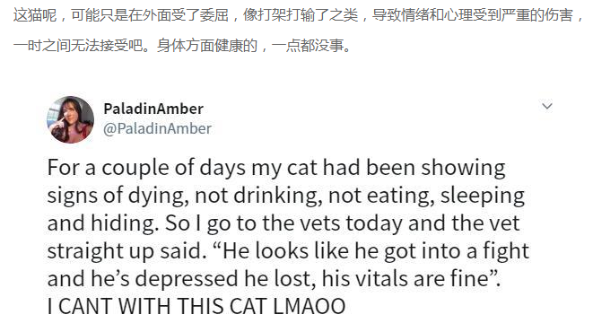 黑猫突然不吃不喝,一躺就是一天,兽医查完后一句话把铲屎官气笑 黑猫突然不吃不喝,一躺就是一天,兽医查完后一句话把铲屎官气笑