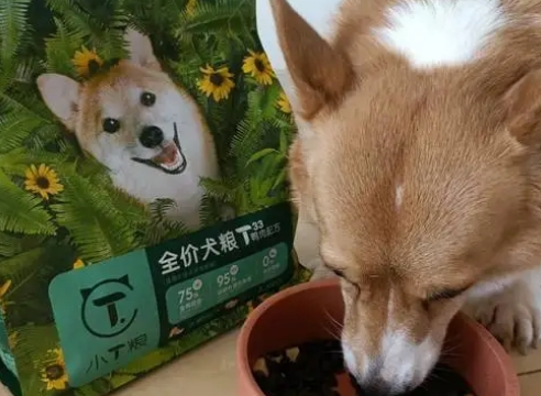 小T粮狗粮好不好？不妨来看看吧