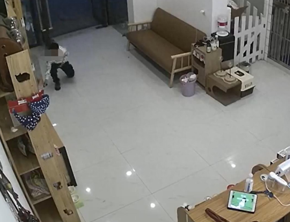 男孩放走宠物店价值2万元宠物猫，家长：愿承担一半责任
