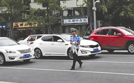 猫咪误入车流不知所措 暖男交警将其抱回路边