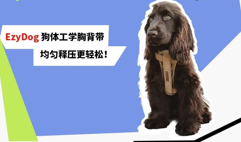 EzyDog狗体工学胸背带,均匀释压更轻松! EzyDog狗体工学胸背带,均匀释压更轻松!
