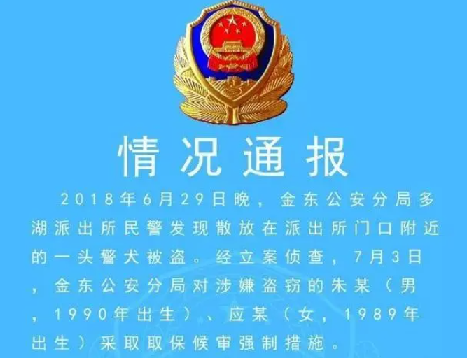 同一条警犬一年两次“被盗” 是“管不住狗”还是钓鱼执法? 同一条警犬一年两次“被盗” 是“管不住狗”还是钓鱼执法?