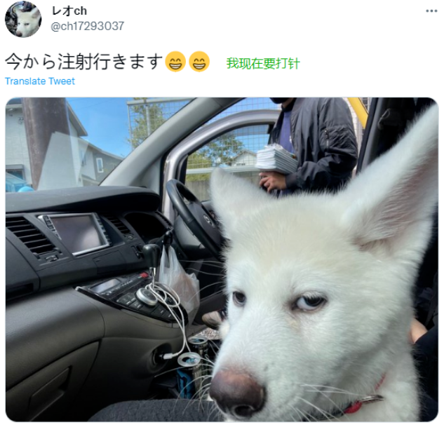 秋田犬对生活失去了失望,却对上天祈求:神啊,救救我吧... 秋田犬对生活失去了失望,却对上天祈求:神啊,救救我吧...
