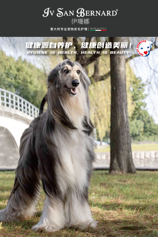 睿哲国际与意大利进口洗护品牌伊珊娜联手,创造宠物洗护新篇章 睿哲国际与意大利进口洗护品牌伊珊娜联手,创造宠物洗护新篇章