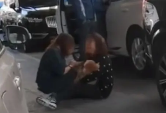 宠物狗未栓绳被轧死，女子抱狗狂扇自己耳光坐地大哭：你不能死